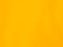 Load image into Gallery viewer, R P POLO GOLF TENNIS SHIRT / LUXURY PERFORMANCE PIQUE / 23 CUSTOM COLORS / S TO 5-XL