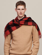 Load image into Gallery viewer, R P SCARF / PURE CASHMERE / MADE IN ENGLAND / MEN / WOMEN