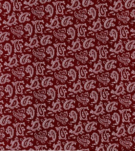 Load image into Gallery viewer, ROBE SHALL COLLAR / SARTORIAL BLACK PAISLEY / PURPLE PAISLEY / NAVY PAISLEY / RED PAISLEY