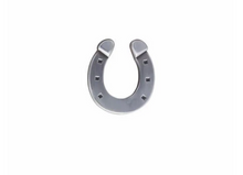 Load image into Gallery viewer, R P LAPEL PIN / LUCKY HORSESHOE / ANTIQUE SILVER DESIGN