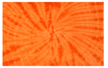 Load image into Gallery viewer, R P MALIBU BEACH TOWEL / HAND TIE DYED / 11 DESIGN COLORS / HAND STITCHED
