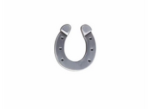 Load image into Gallery viewer, R P LAPEL PIN / LUCKY HORSESHOE / ANTIQUE SILVER DESIGN
